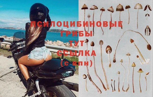 мяу мяу кристалл Белокуриха