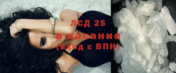 сатива Беломорск