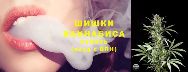 сатива Беломорск