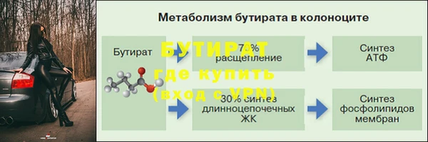 сатива Беломорск